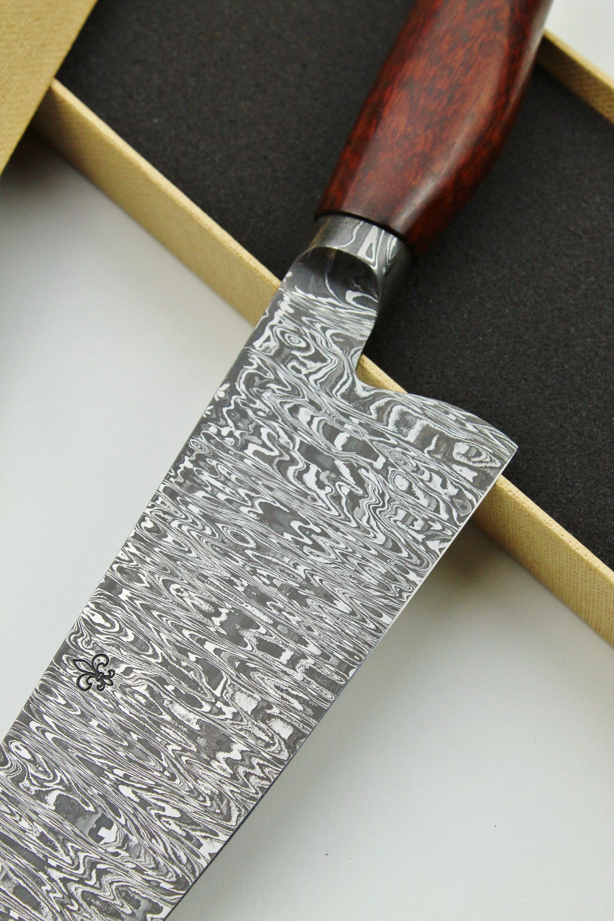 Gyuto 215 Snake