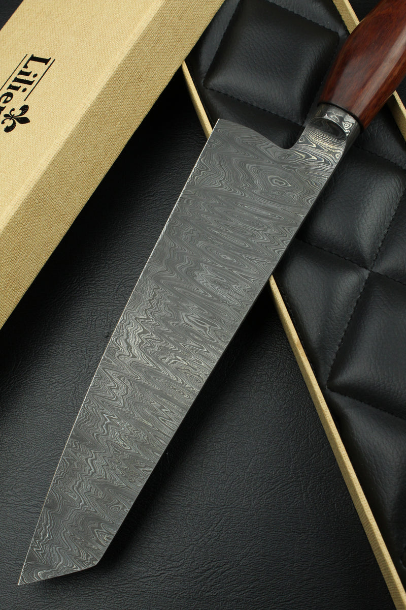 Gyuto 220 Snakewood